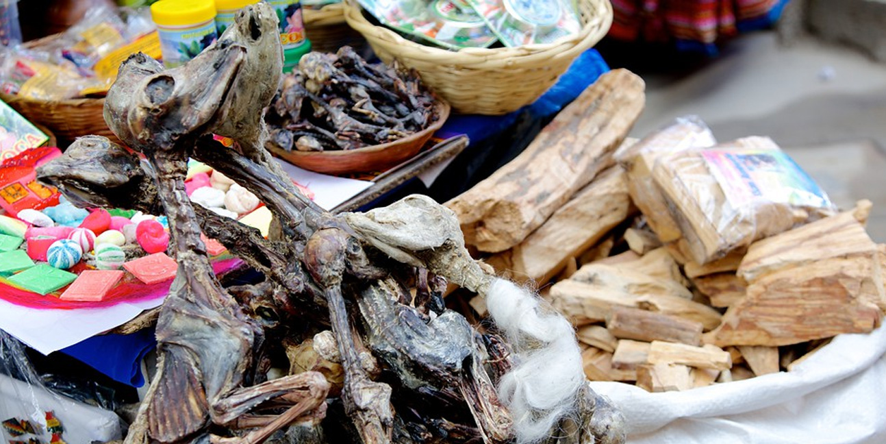 Mercado das Bruxas: Feto de Lhama