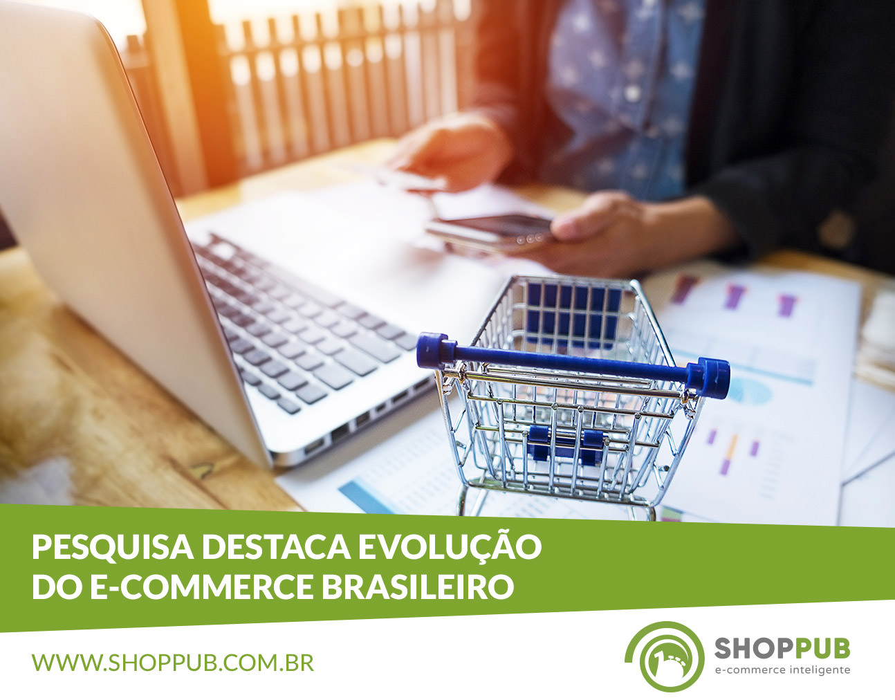 Pesquisa destaca evolução do e-commerce brasileiro